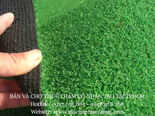 Cho thuê thảm cỏ nhân tạo giá rẻ tại tphcm