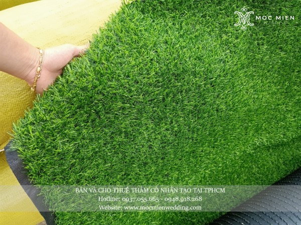 Cho thuê thảm cỏ nhân tạo giá rẻ tại tphcm