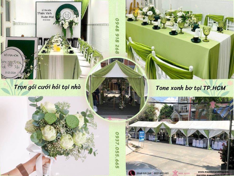Concept theo tone xanh bơ hiện đại - độc đáo